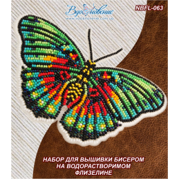 NBFL-063. Метелик«Euphaedra...