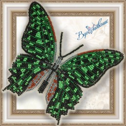 BGP-023. BUTTERFLY "Graphic...