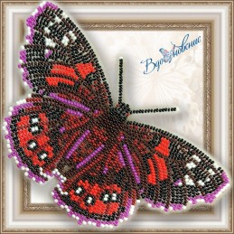 BGP-036. BUTTERFLY "Red...
