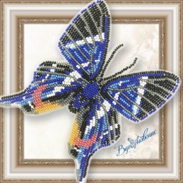 BGP-075. BUTTERFLY "Rhetus...