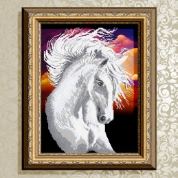 VKA3134. White horse
