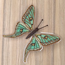 BUT-16 Butterfly Graellsia...