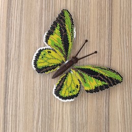 BUT-20 Метелик Ornithoptera...
