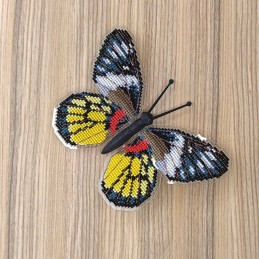 BUT-29 Метелик Delias Pasithoe