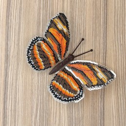 BUT-50 Butterfly Dryadula...