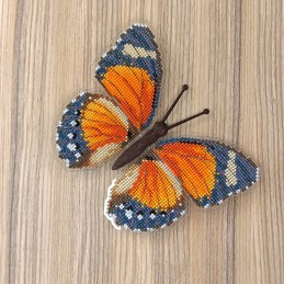 BUT-57 Butterfly Euphaedra...