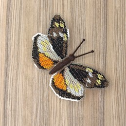 BUT-61 Метелик Dismorphia...