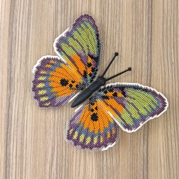 BUT-63 Butterfly Euphaedra...
