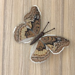 BUT-81 Butterfly Euryphura...