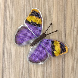 BUT-87 Butterfly Euphaedra...